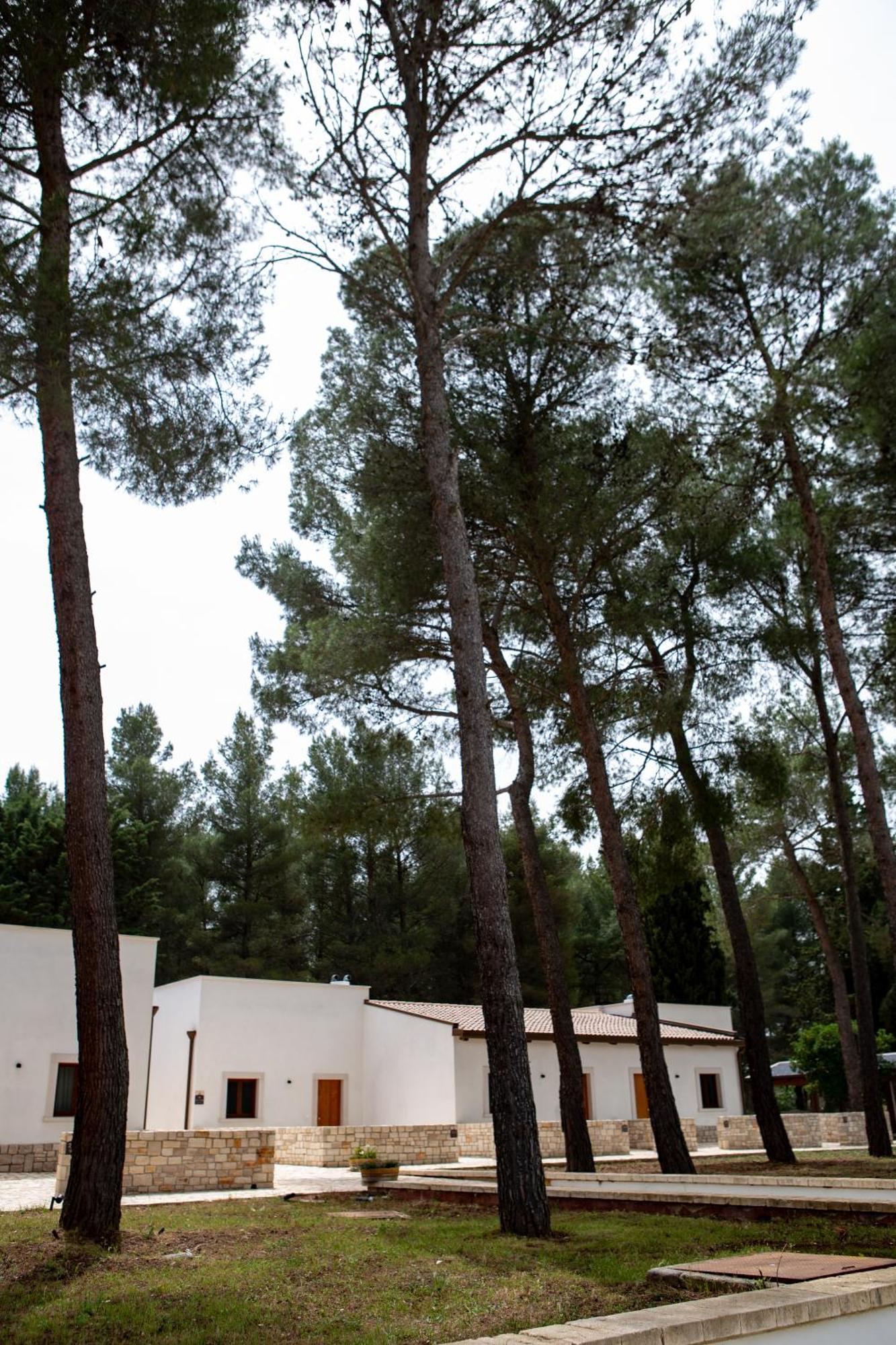 Wine Resort Le Vigne Al Castello Castel Del Monte  Ngoại thất bức ảnh